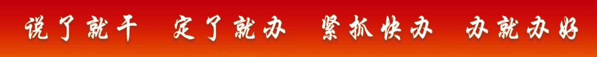 說了就干 定了就辦 緊抓快辦 辦就辦好